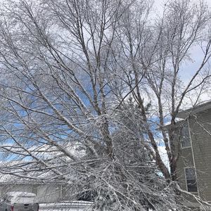 Meet your Posher, Hai